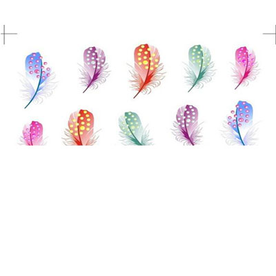 Plume stickers Coloré Nail Art Transfert Water Décal